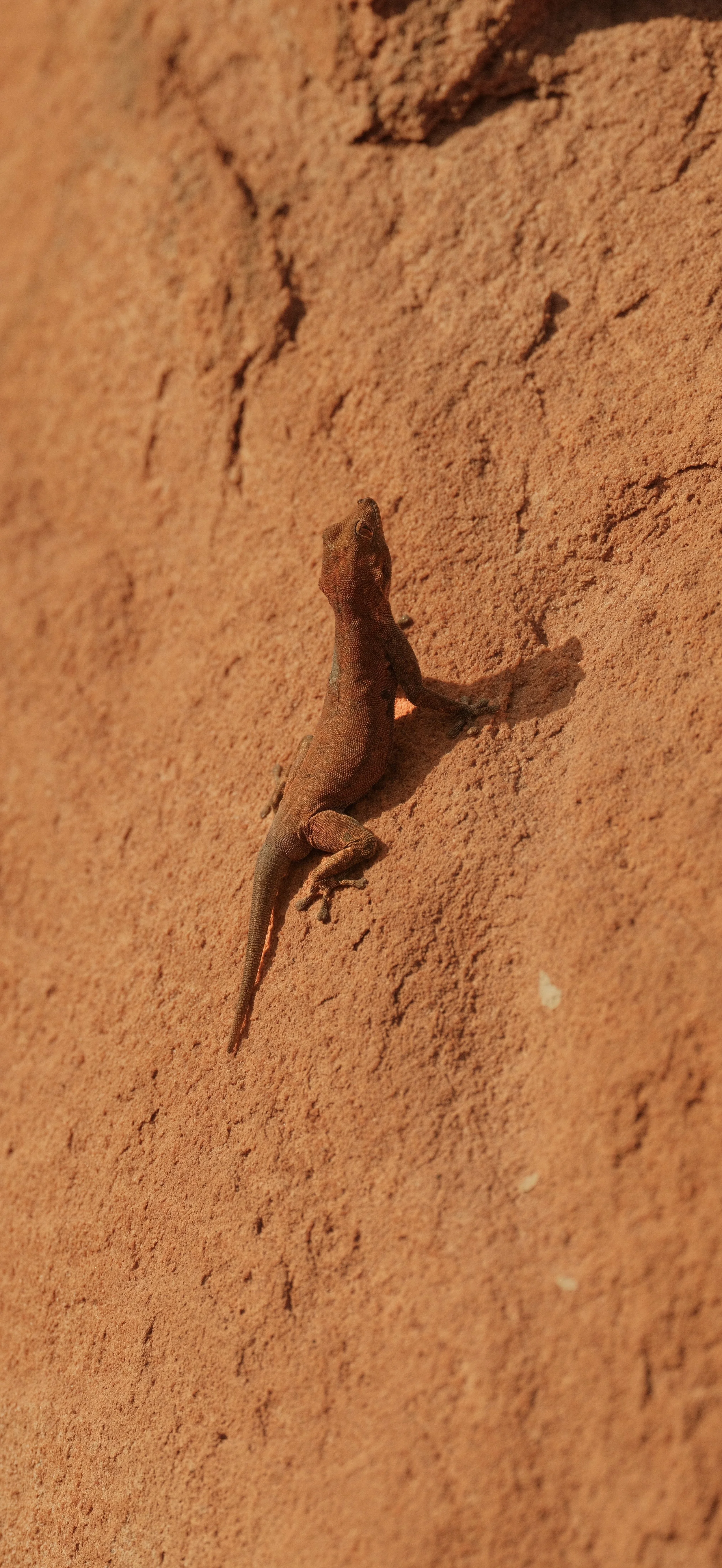 DSCF5358.JPG
