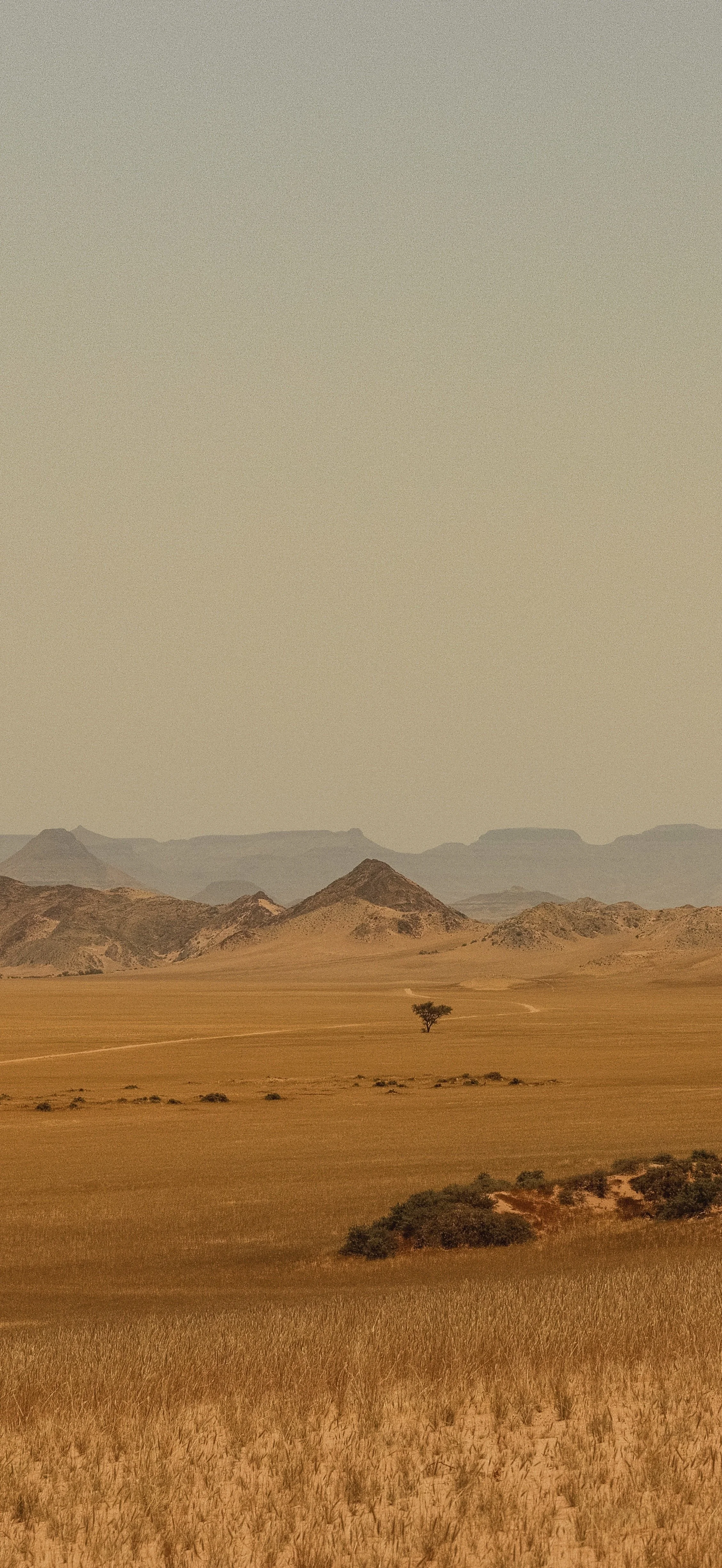 DSCF5586.JPG