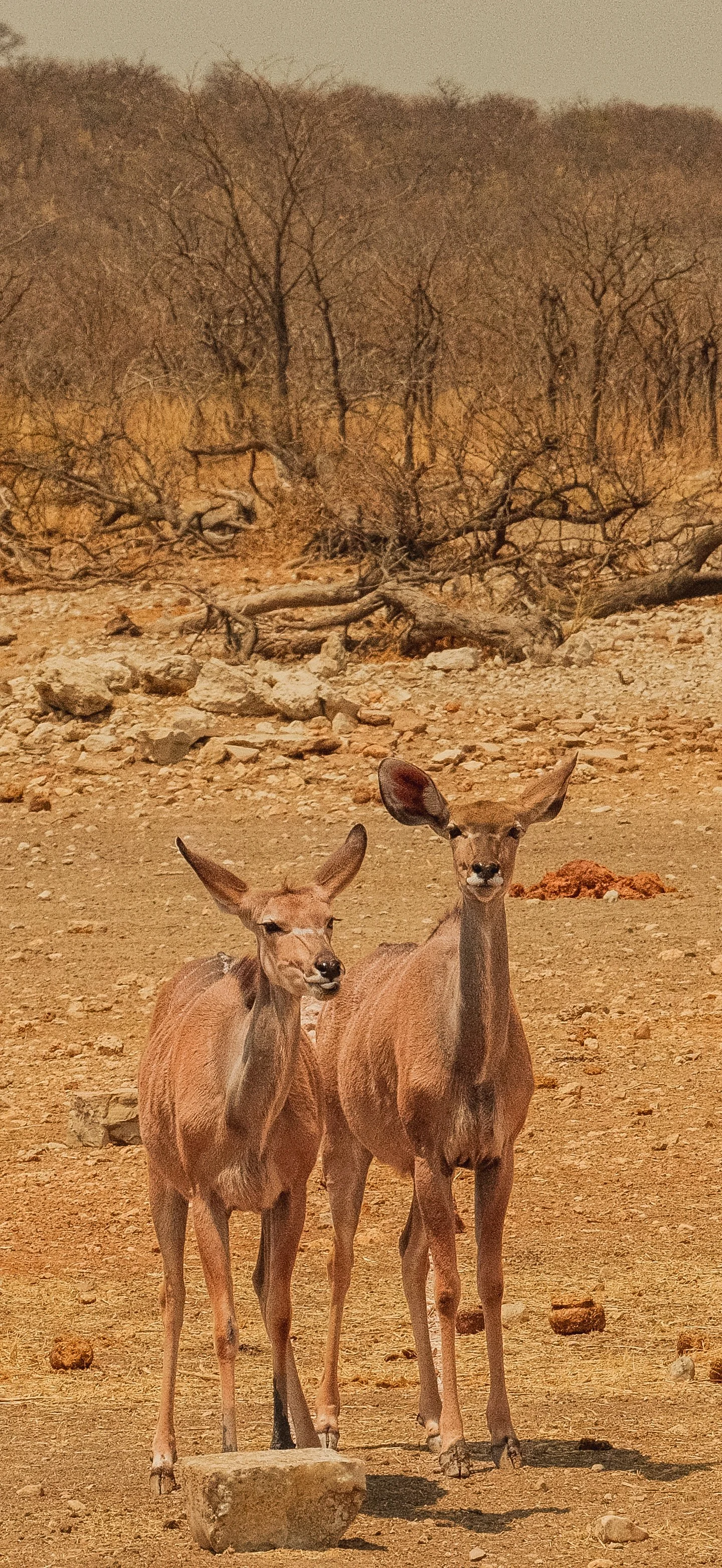 DSCF5709.jpg