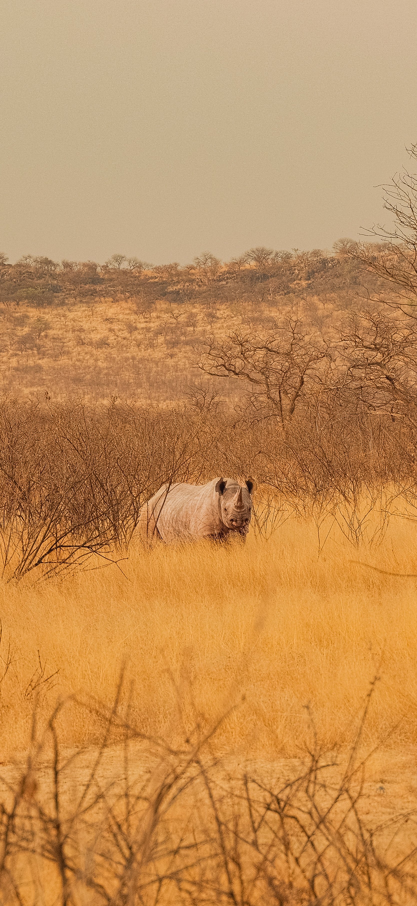 DSCF5752.jpg