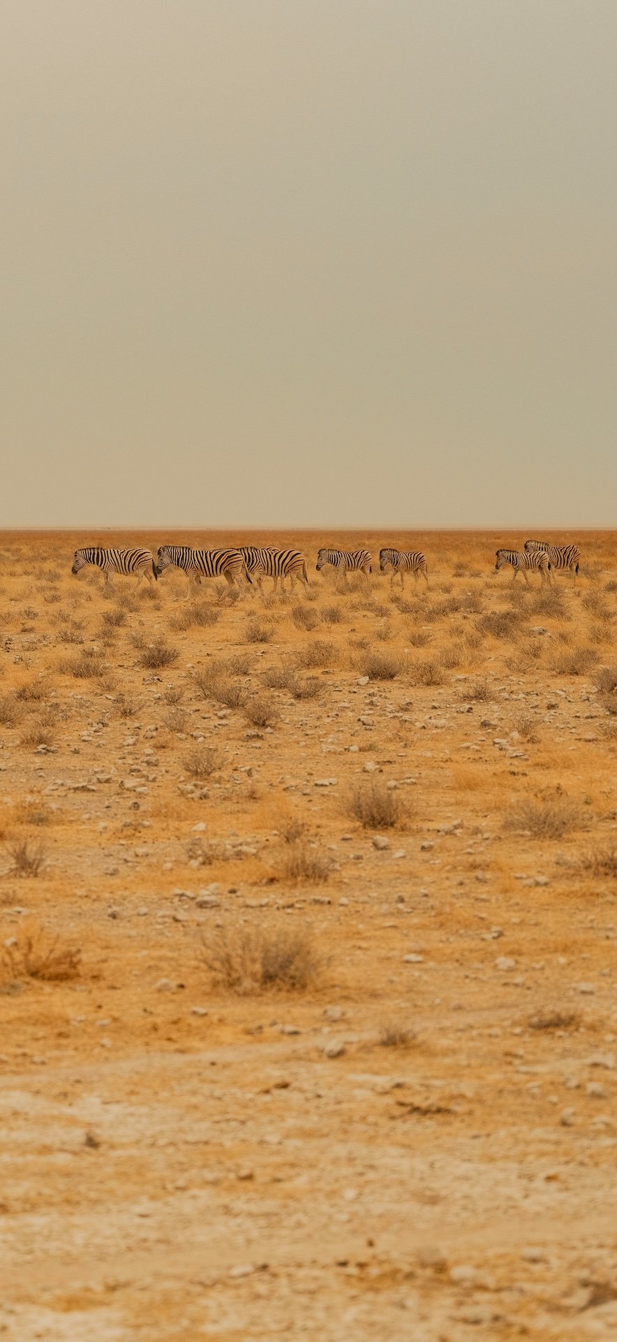 DSCF5866.jpg