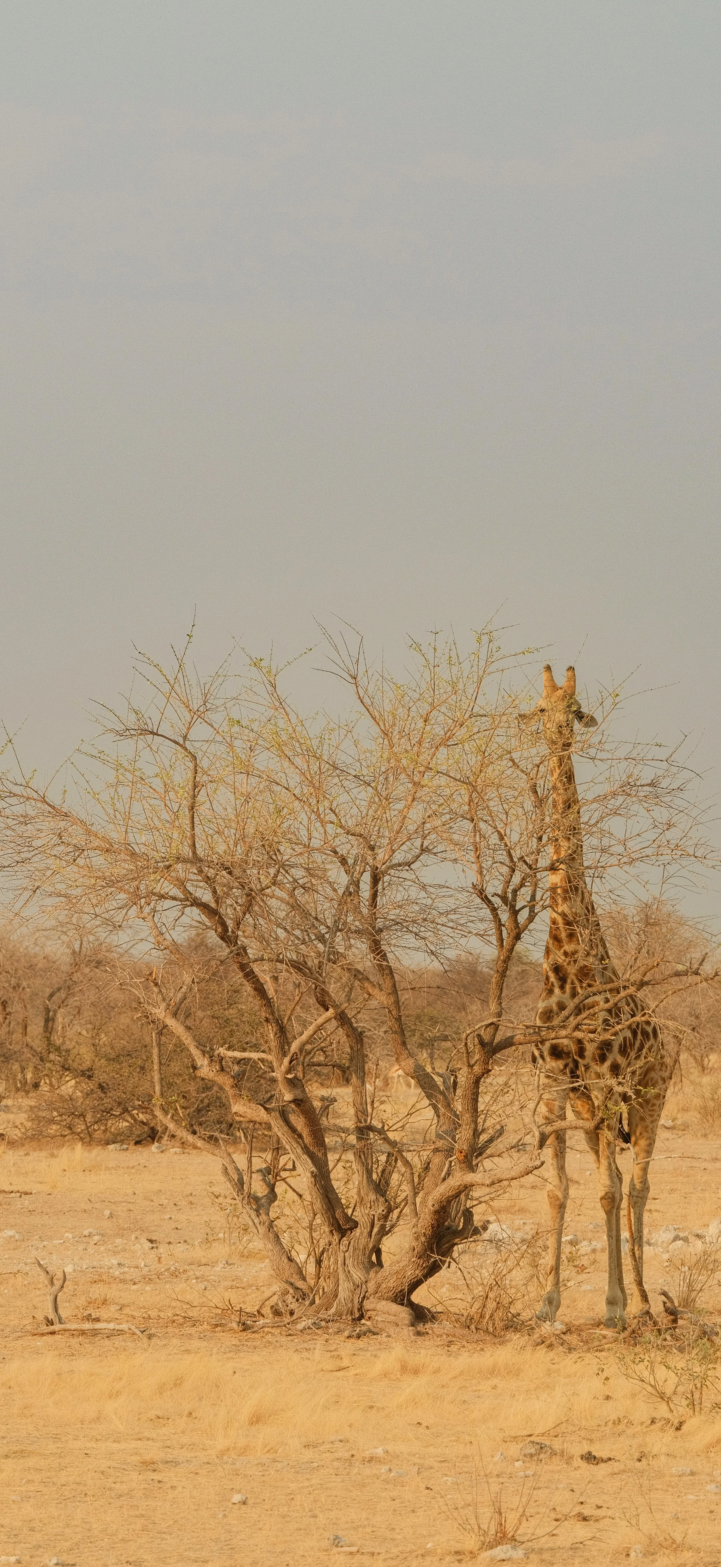 DSCF5859.jpg