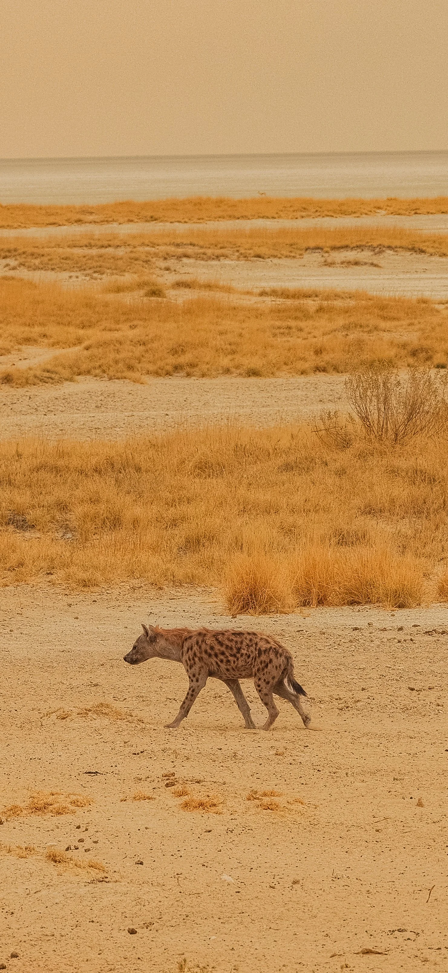 DSCF5896.jpg