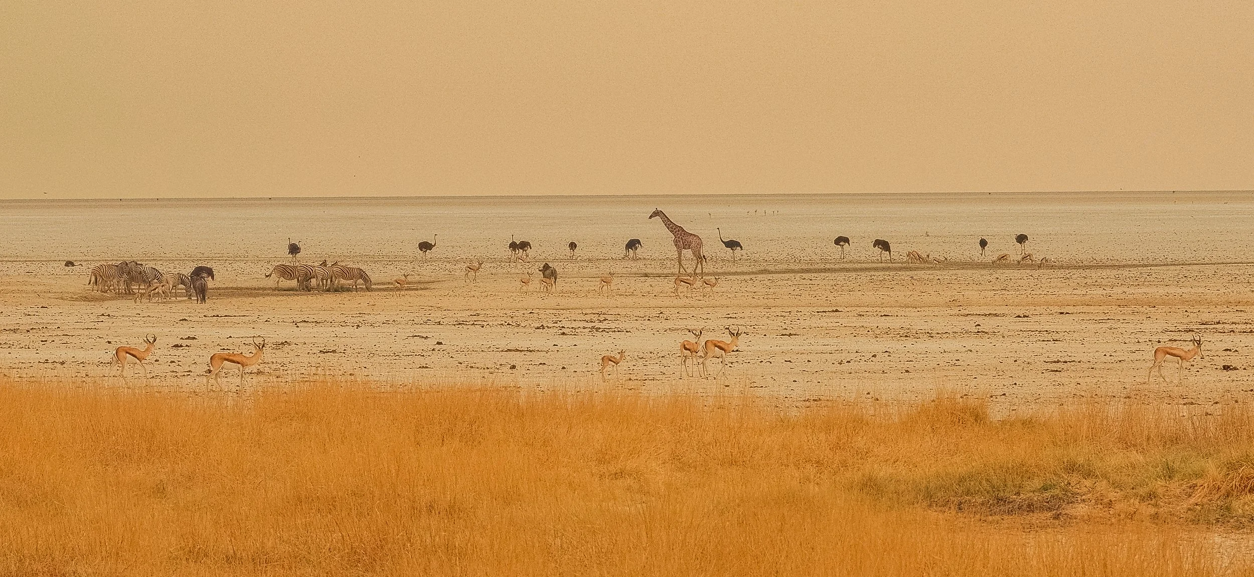 DSCF5910.jpg