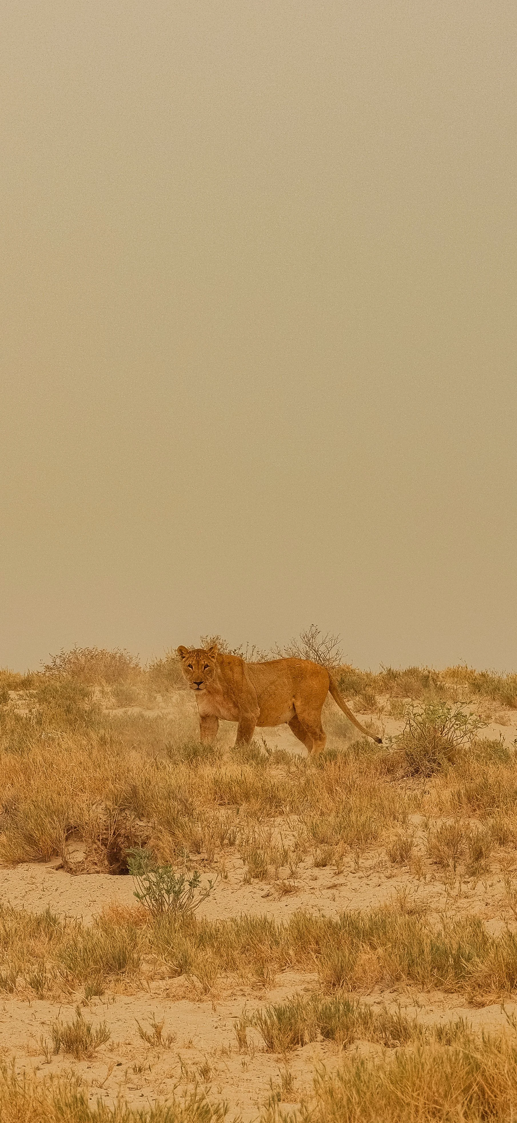 DSCF5931.jpg