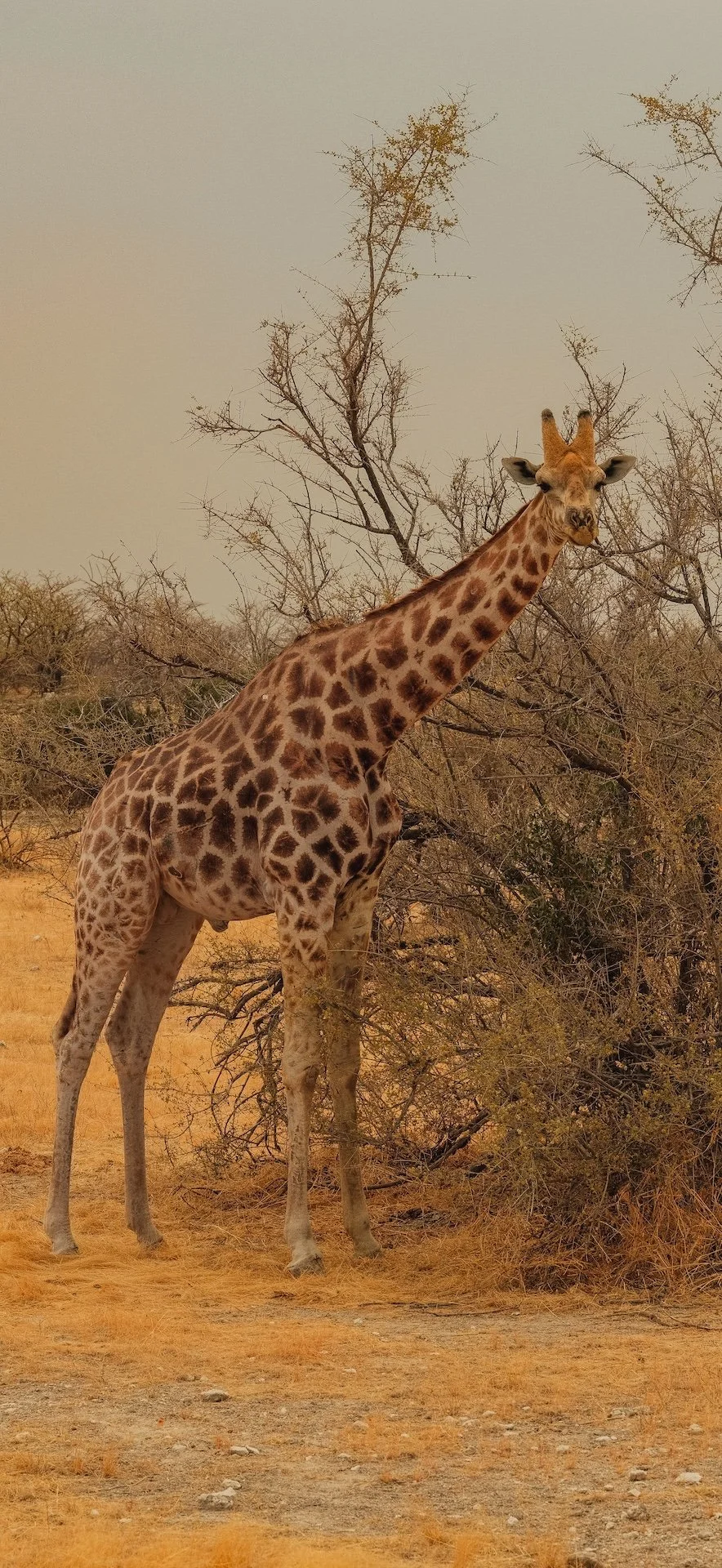 DSCF5951.jpg