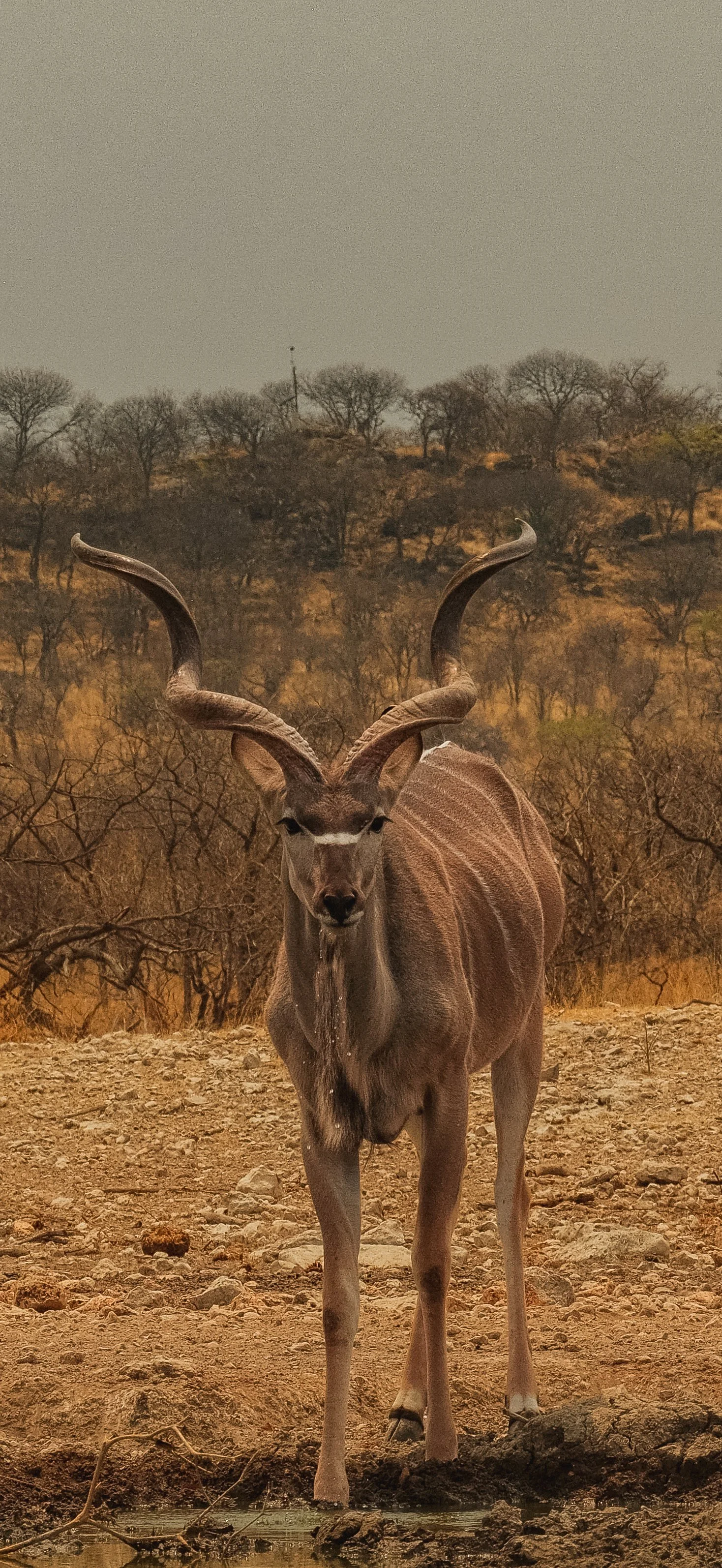 DSCF6016.jpg