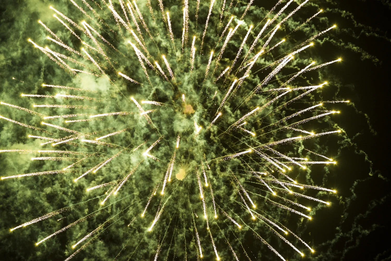 DSC_7118.jpg