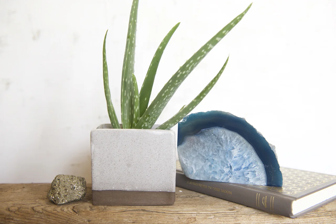 400 Moons—Plant Pot.jpg
