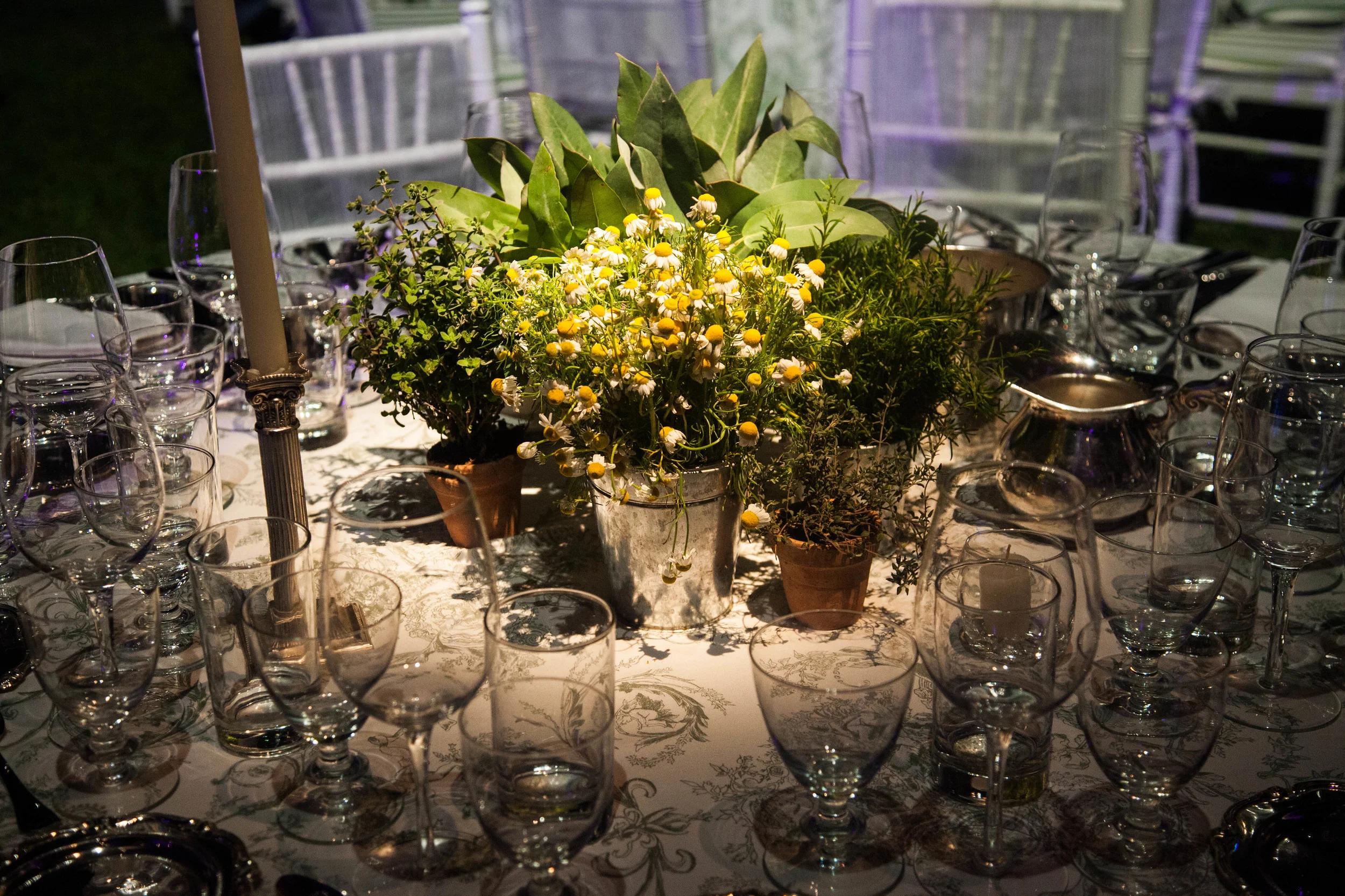 green_gala_alta-45.jpg