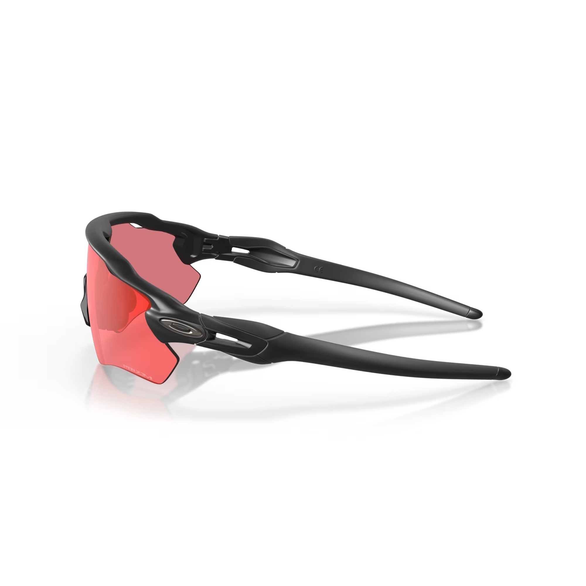 resized-image (19).png