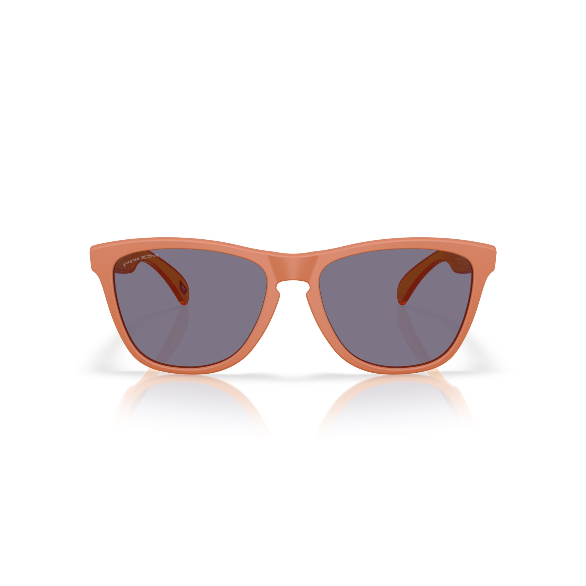 resized-image copy 2.png