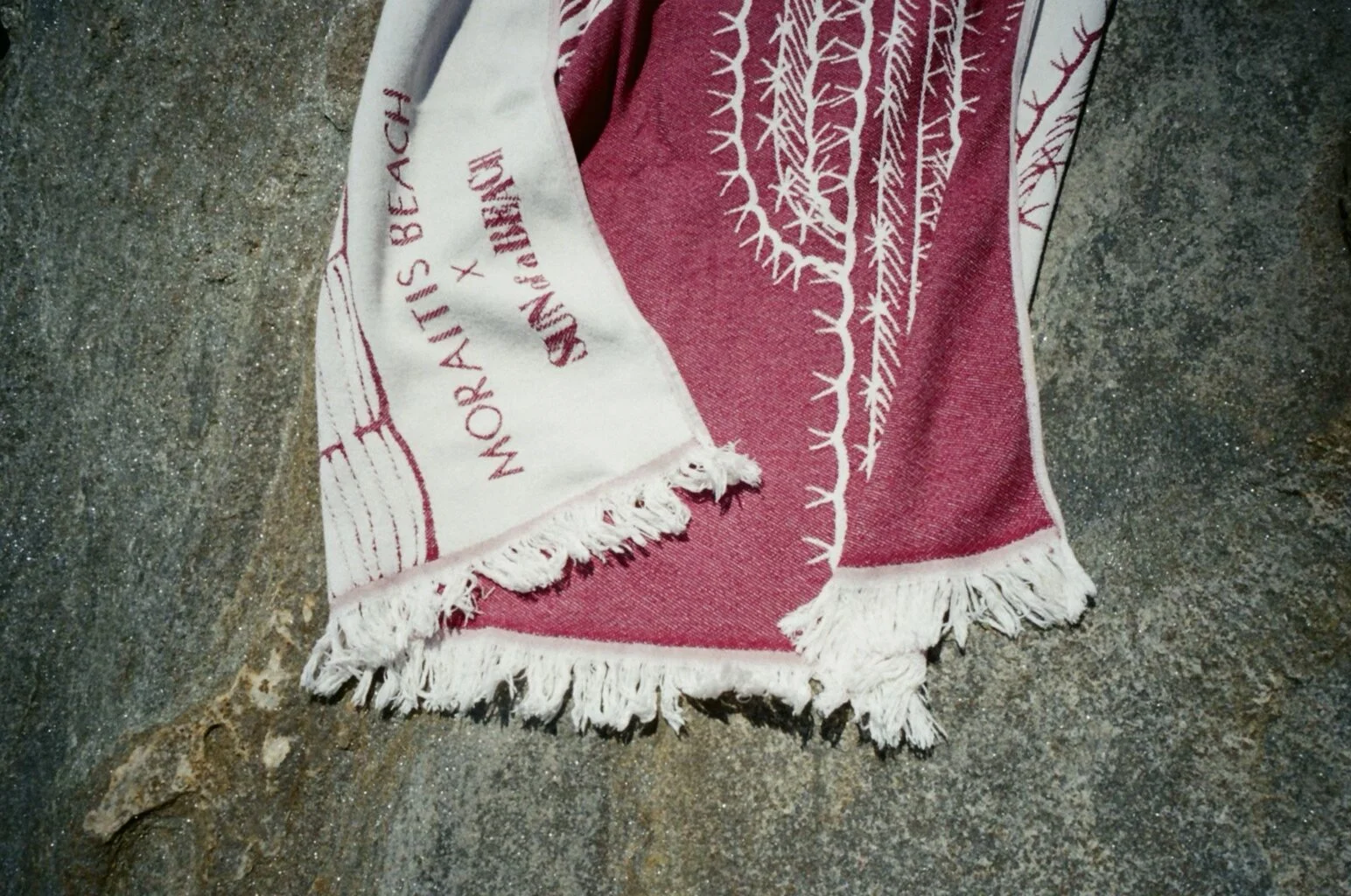 C3939C12-F121-4BDA-A2AE-8AA9370BD4EF