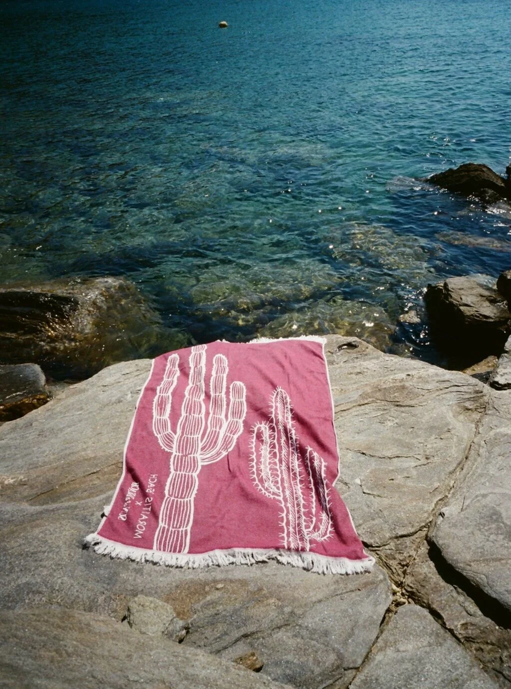 FE55F0C7-9BCB-4090-A13C-E2F79EF4DB4A