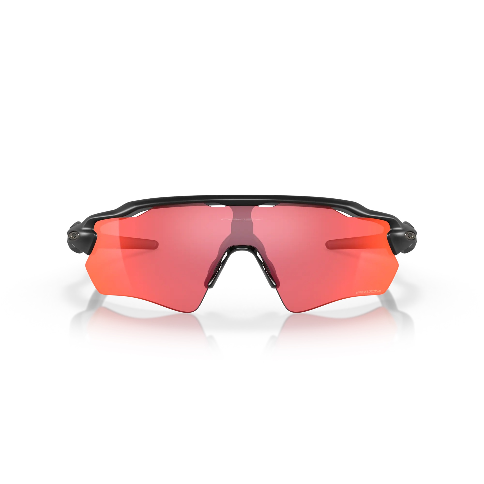 resized-image (17).png
