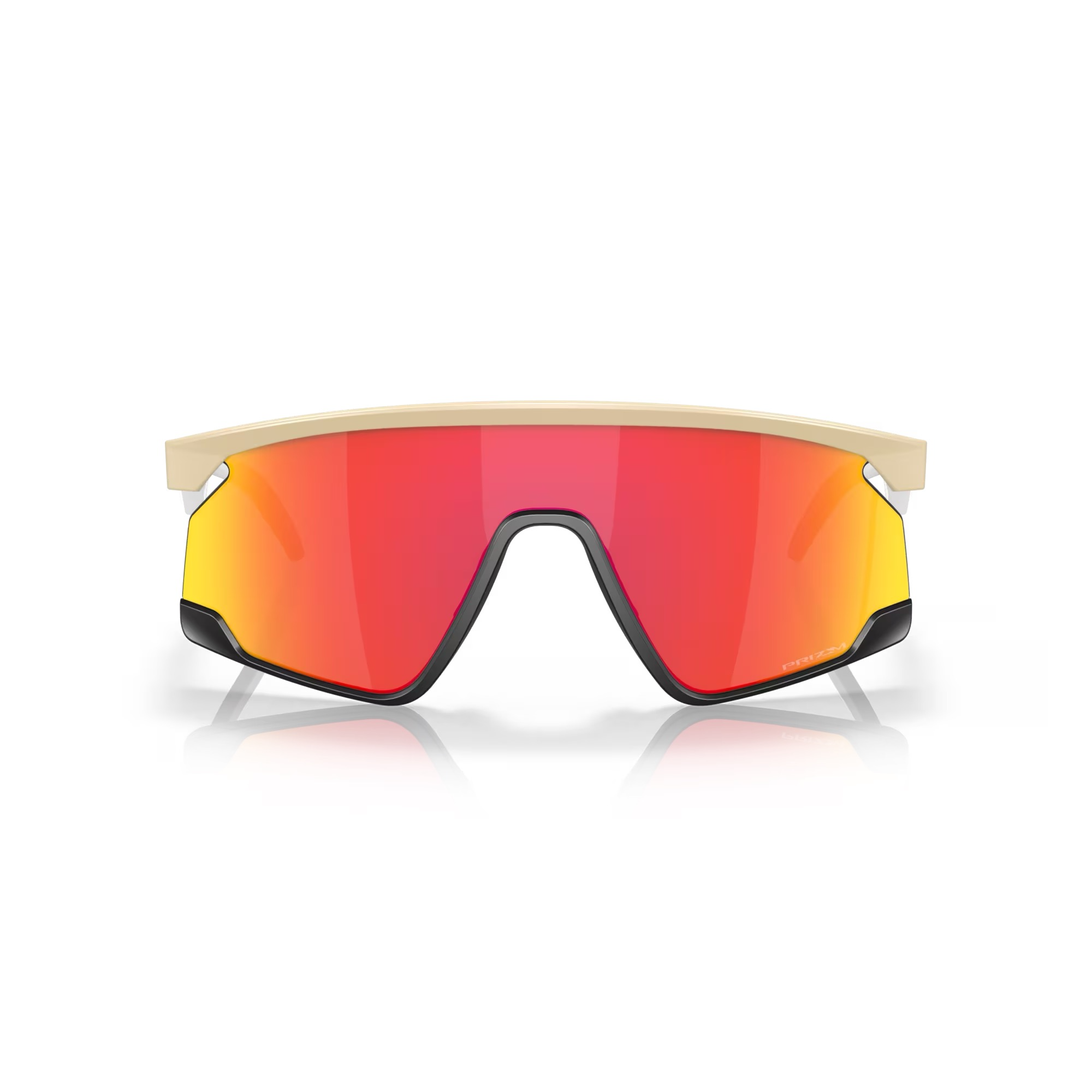 resized-image (31).png