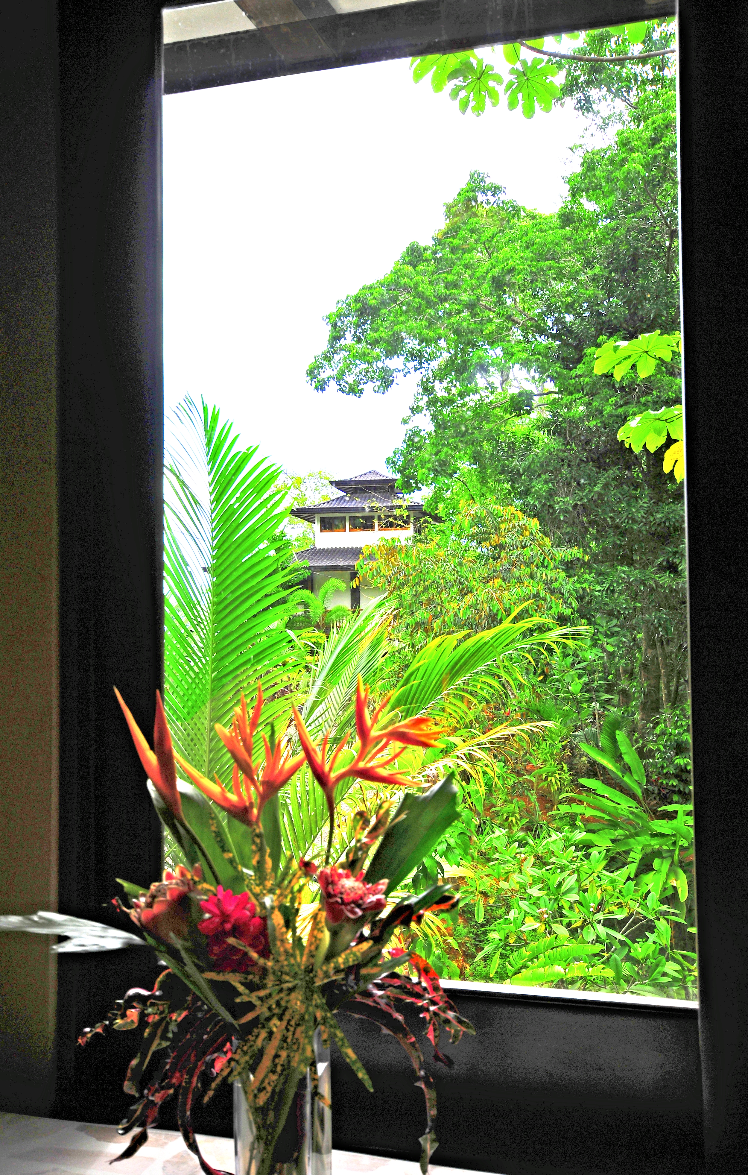 Leighanne pics pagoda caribaea 003.jpg