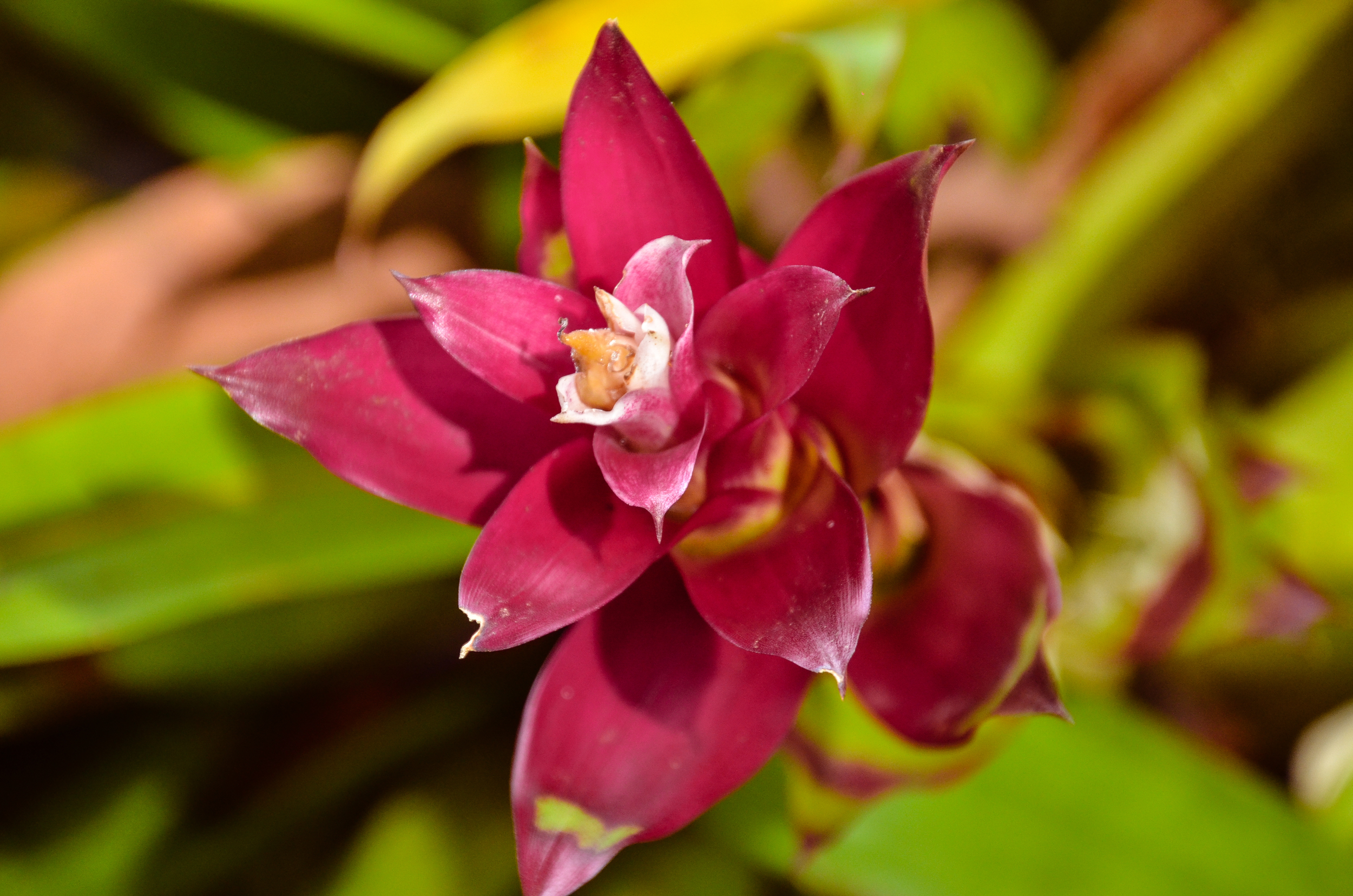 I'm From the Internet and I'm Here to Help