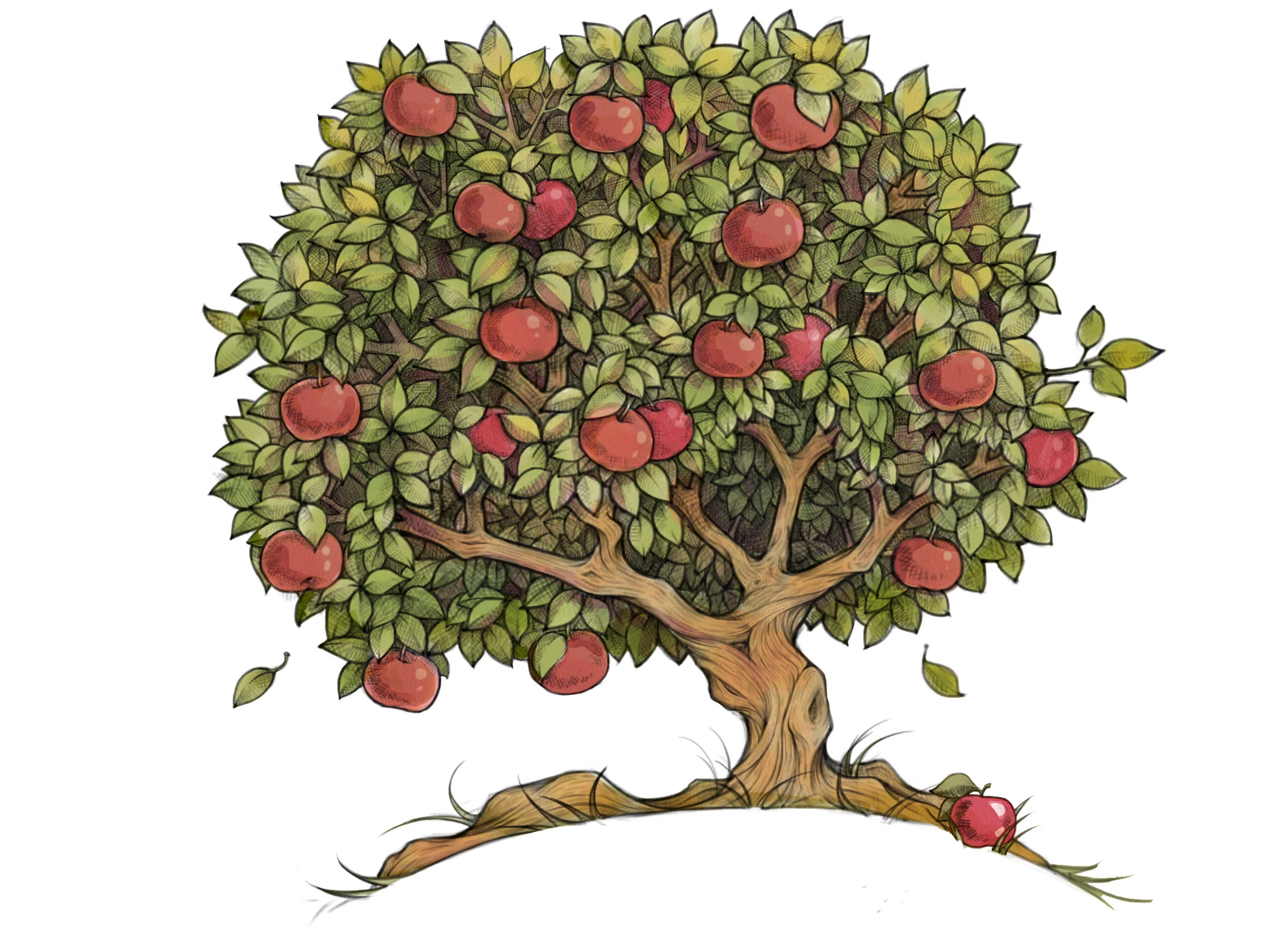 appletreefinal.jpg