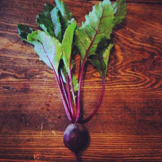 Beet.jpg