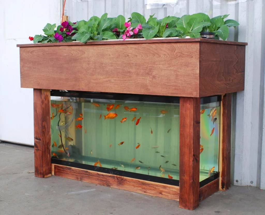 A simple aquaponics setup could satisfy science requirements while providing fresh produce (and fish!) for student consumption. This aquaponics kit is available through Kijani Grows .