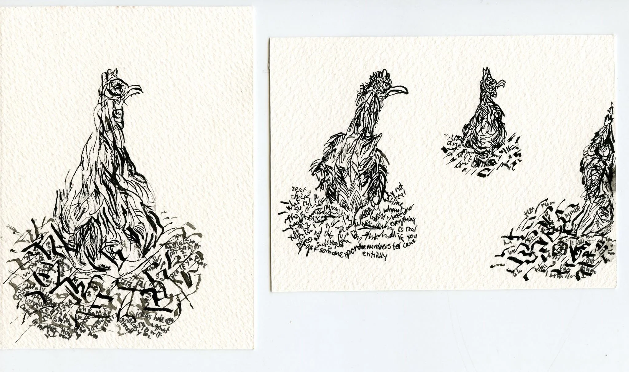 Reflections of a betterArts Residency