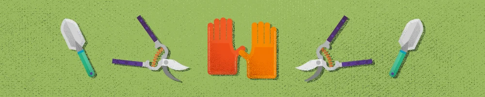 Vegetable Gardening for Dummies: A Novice's Guide