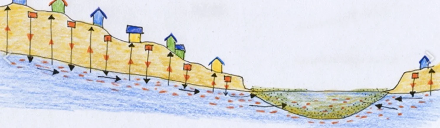 This schematic, from Solviva , shows how septic systems built in accordance with DEP regulations leach pollution straight into groundwater, and how this pollutes our drinking water and causes algae infestations in our coastal ponds.