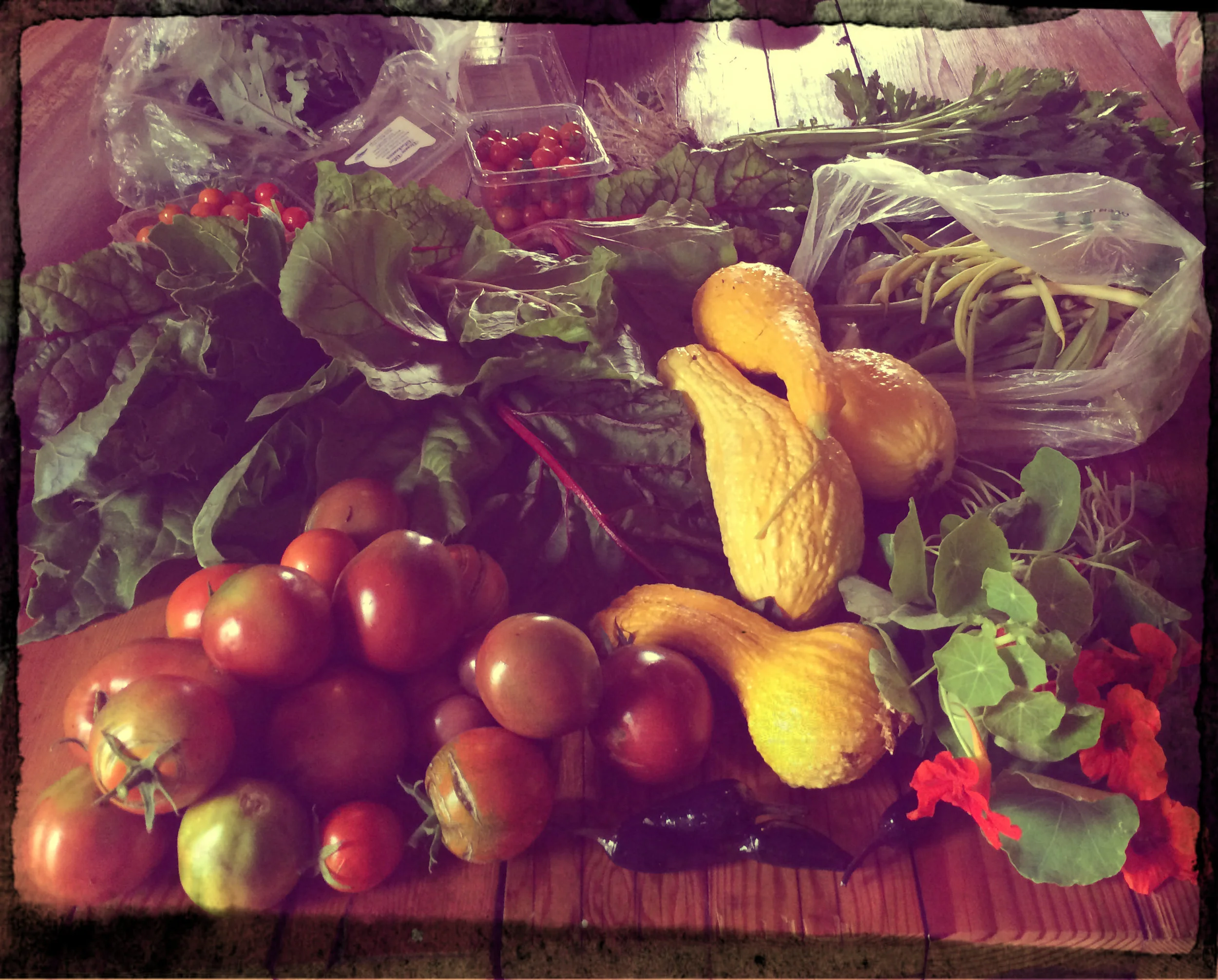 One of Better Farm's $20 bags of freshly picked, organic produce.