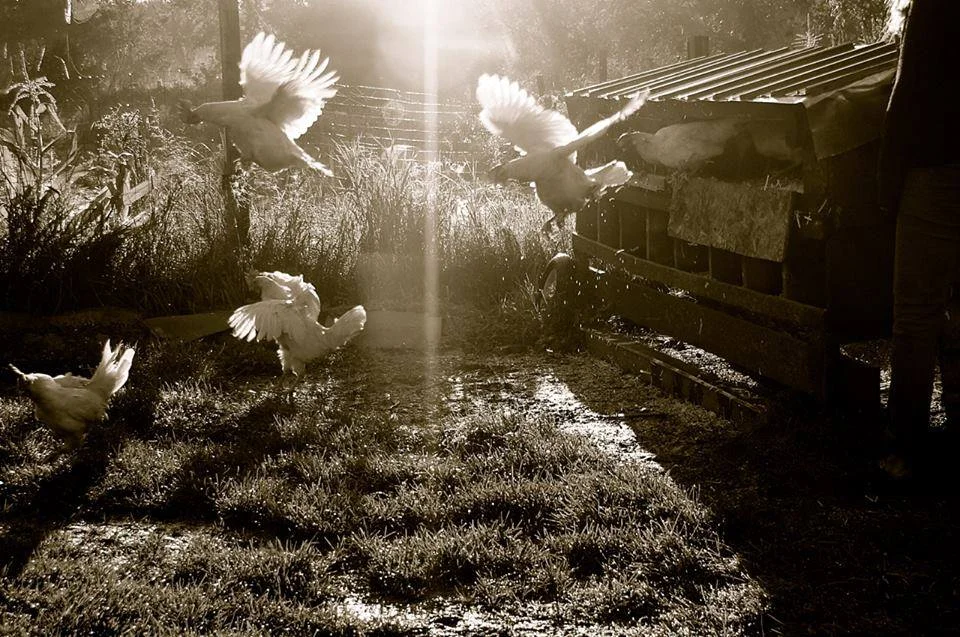 Photo/ Kristen Caldwell