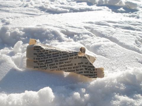 Former betterArts Resident Gemma Cooper-Novack To Host Valentine's Weekend Writing Retreat