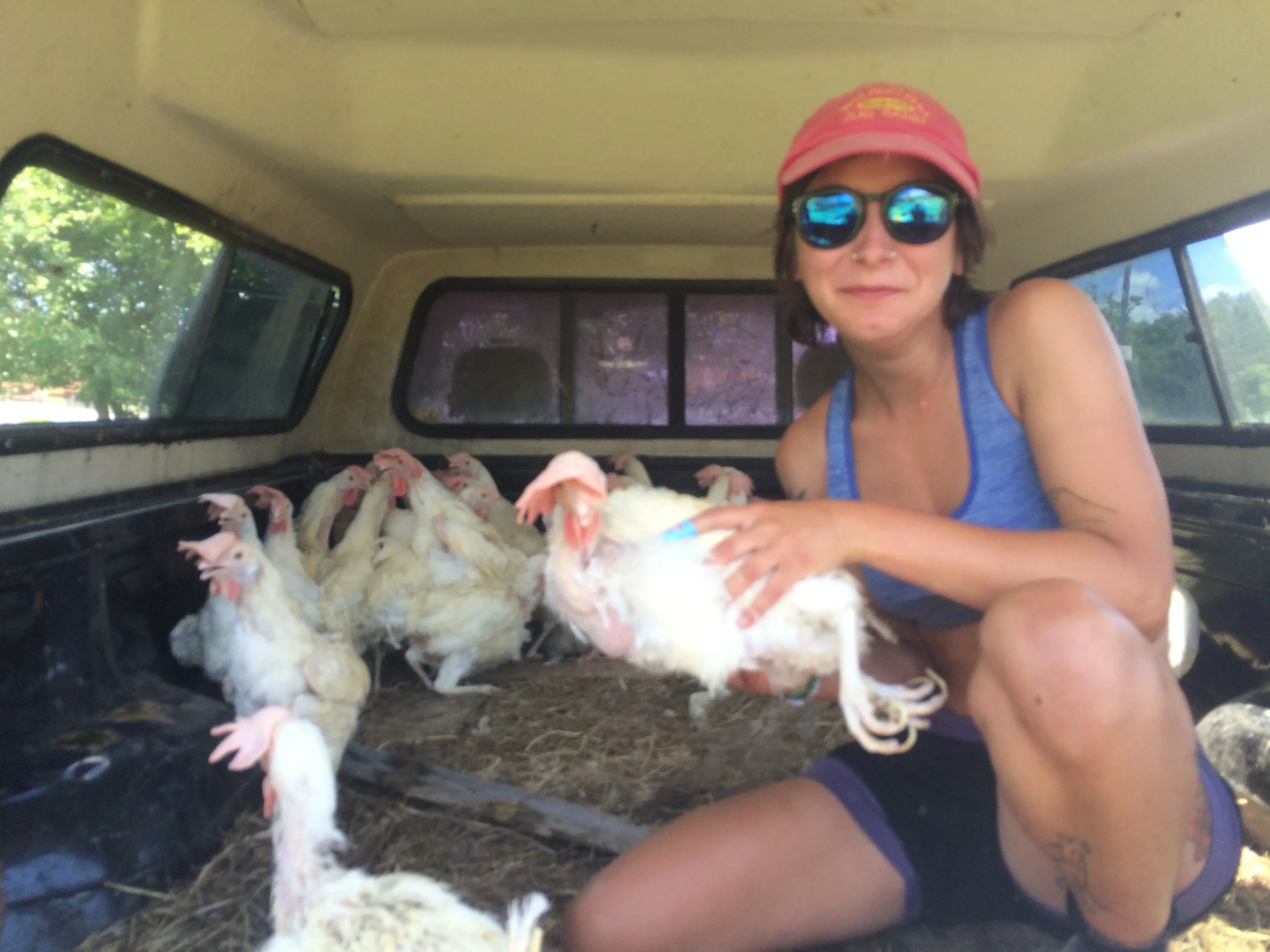 Steph, wondering why on earth she decided to come to Better Farm.
