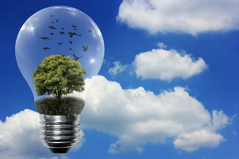 Image from Pixabay