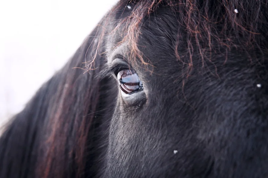 Image from Pexels .