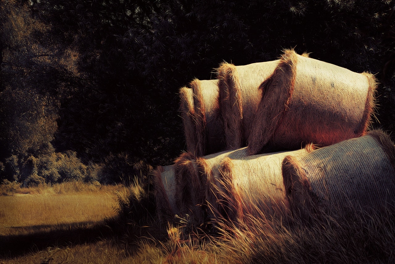 Image/ Unsplash