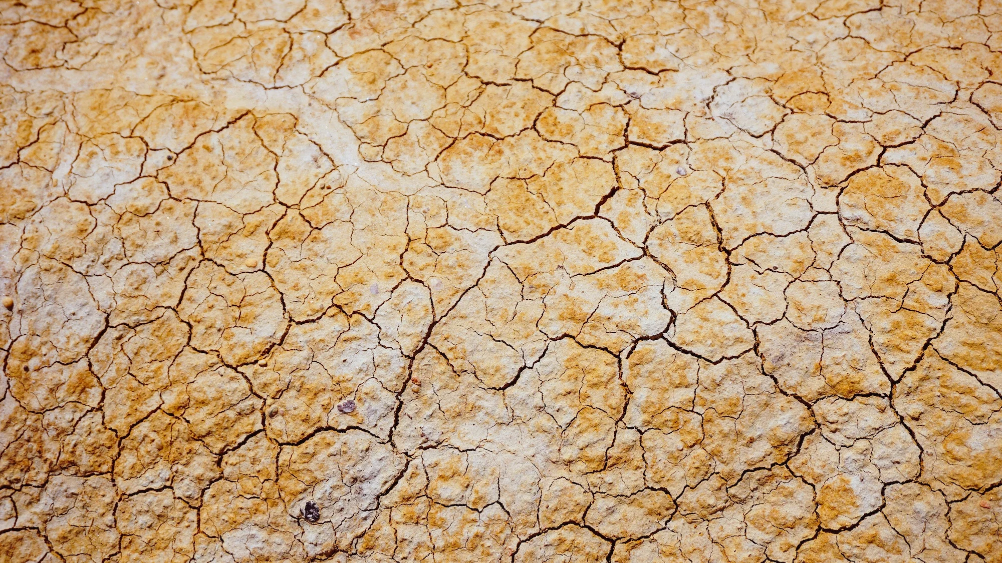 dan-gold-138419-unsplash.jpg