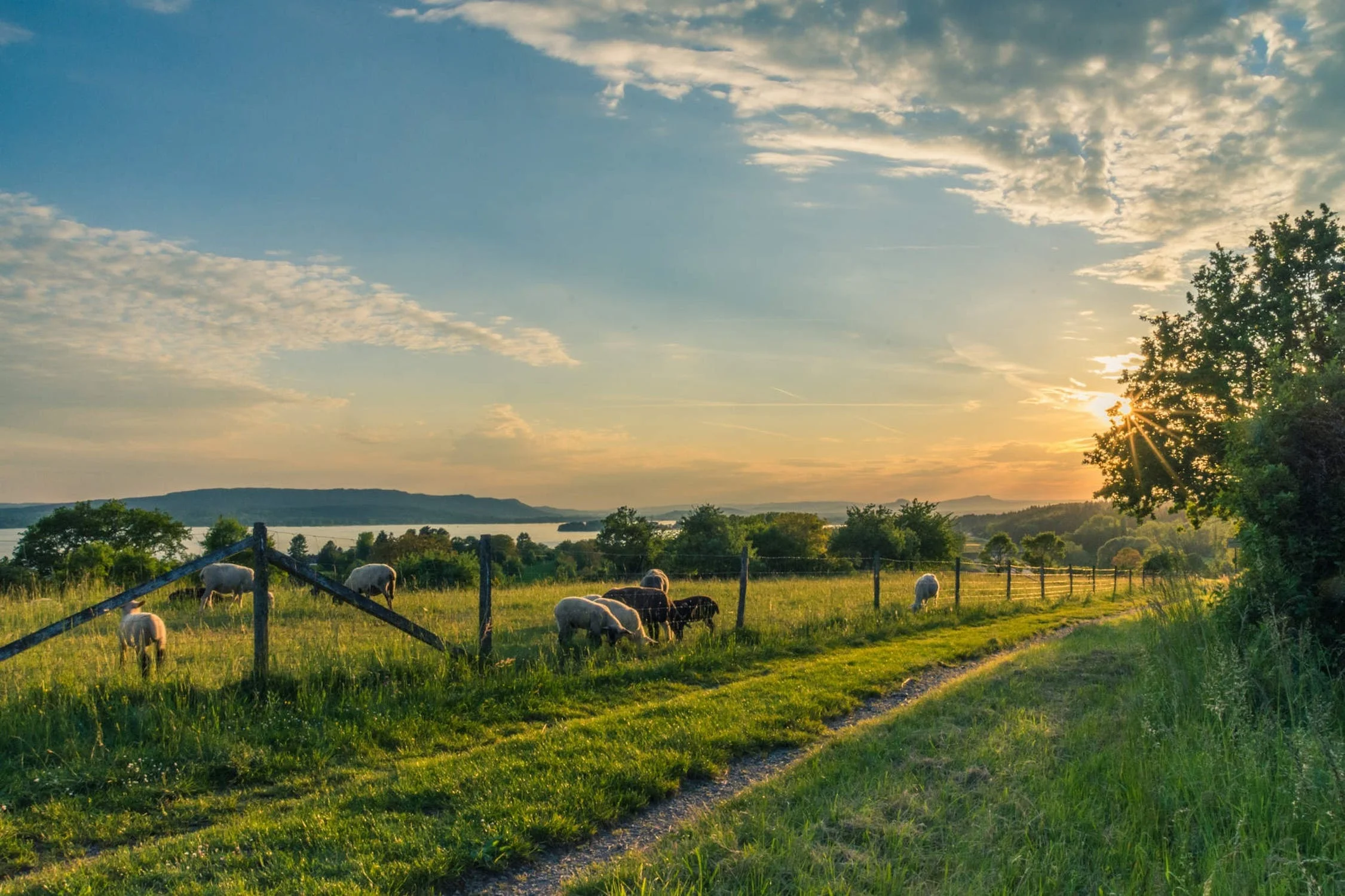 How to Make Safety a Priority on Your Farm
