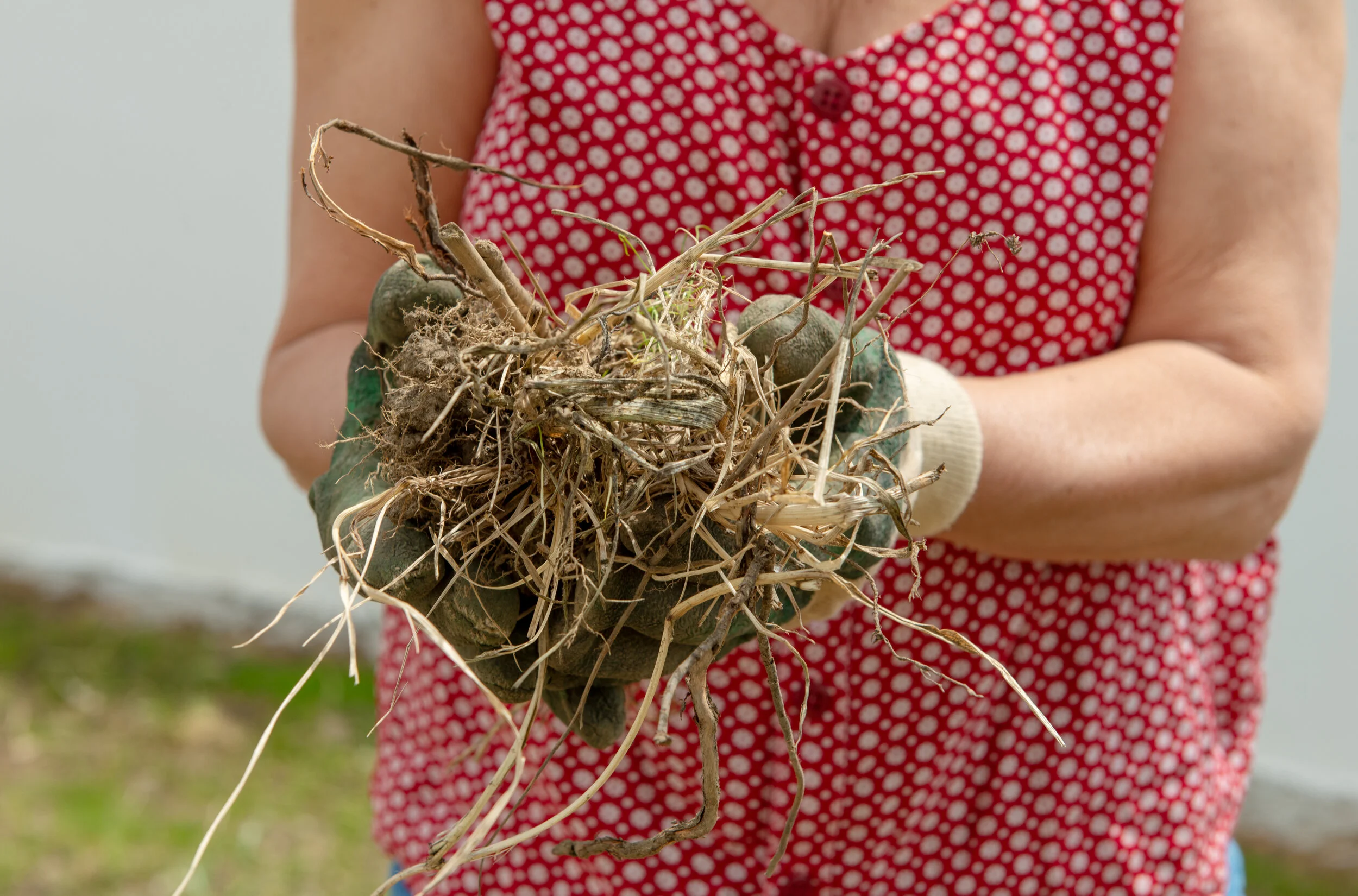 How to Totally Get Rid of Weeds