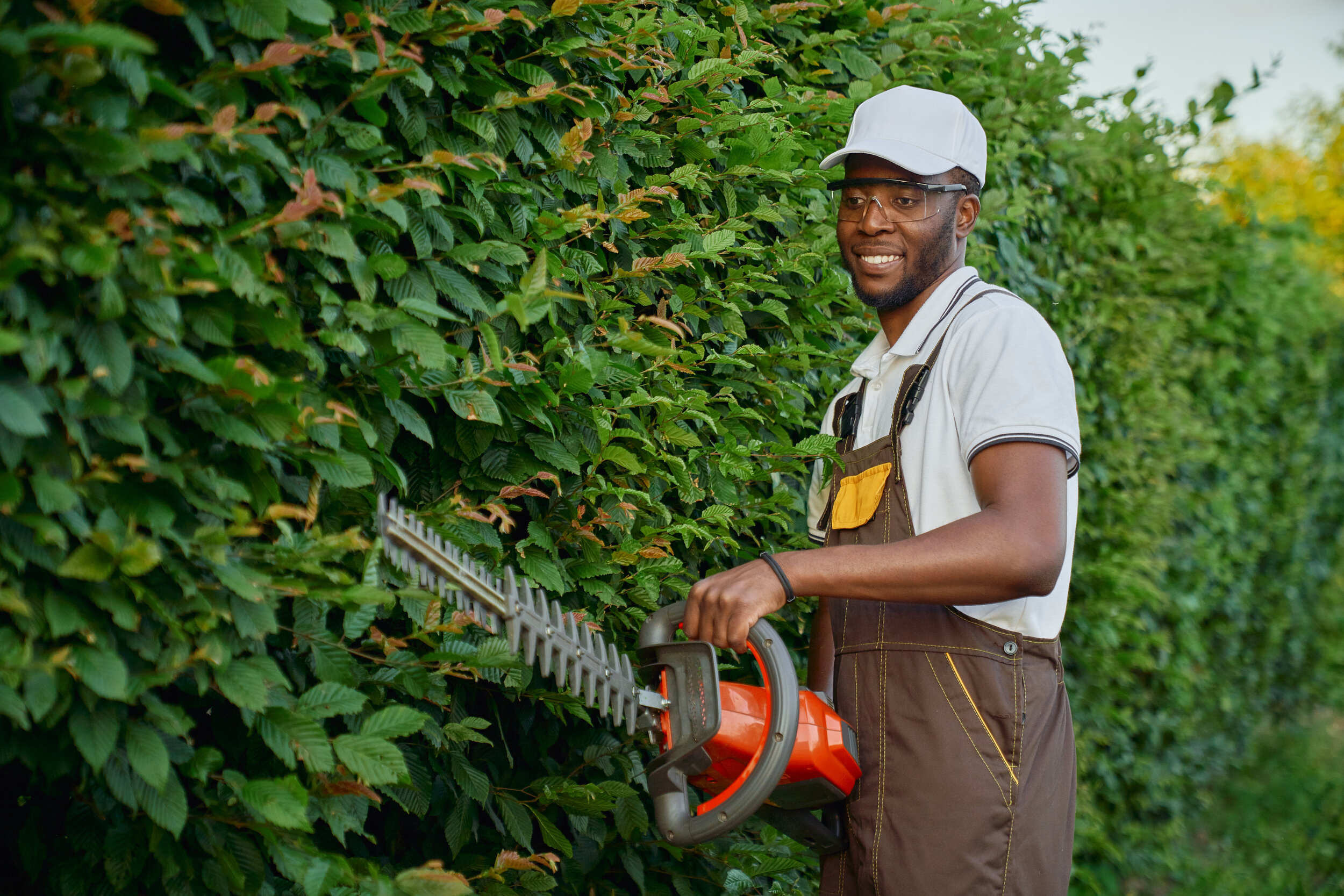 5 Benefits of Investing in Tree, Lawn and Garden Care