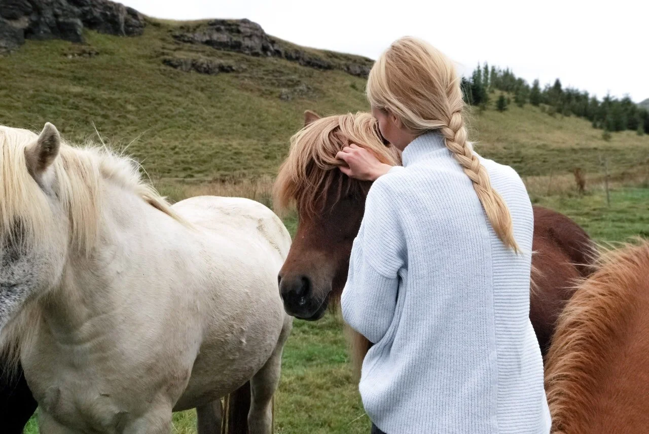 Ways to Enhance Your Equestrian Farm Management