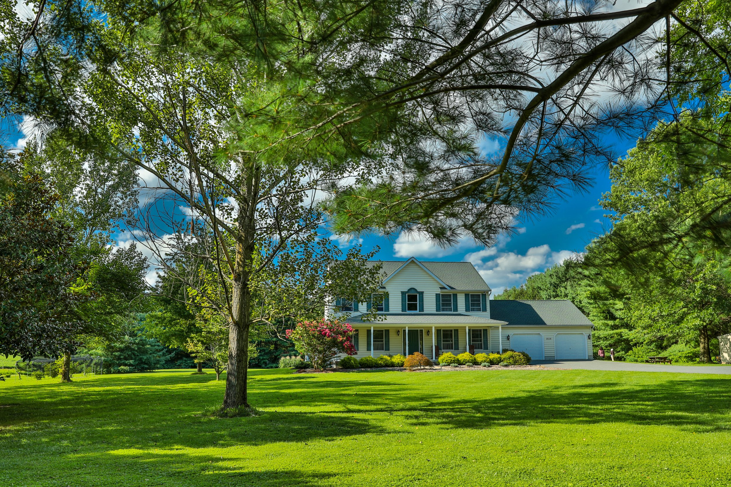 6 Tree Care Basics for Impressive Home Landscapes