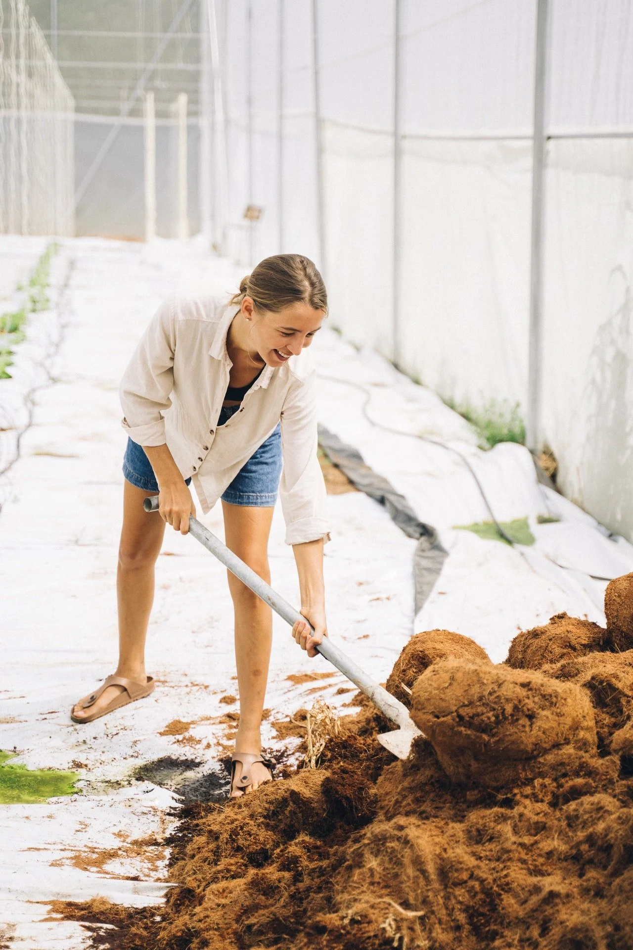 Equipment You May Require for Livestock Farming