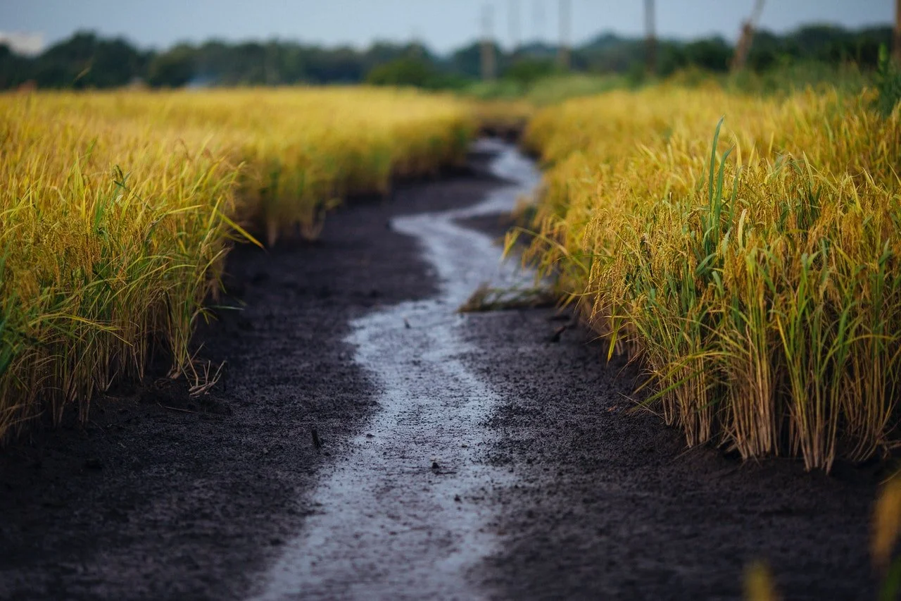 10 Ways to Save Water On Your Farm