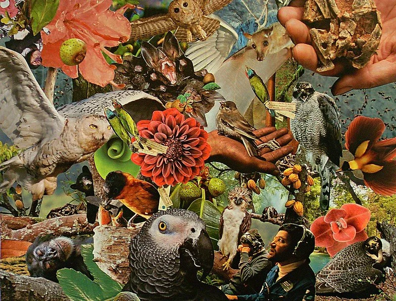 BetterArts and CRAFTS Night: The anti-Hallmark card-making workshop