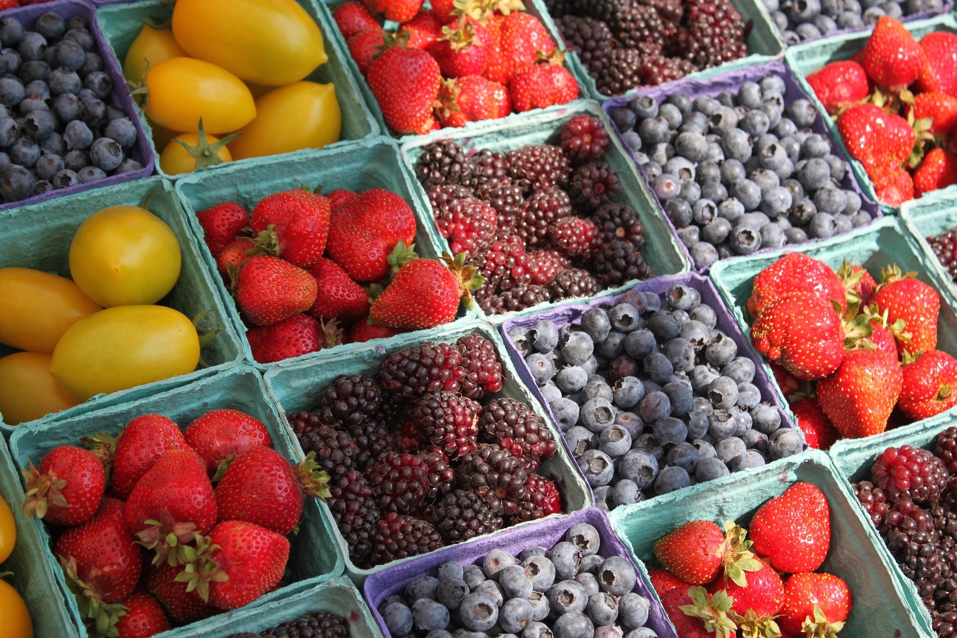 The Basics Of Organic Farming: Why choose this method?