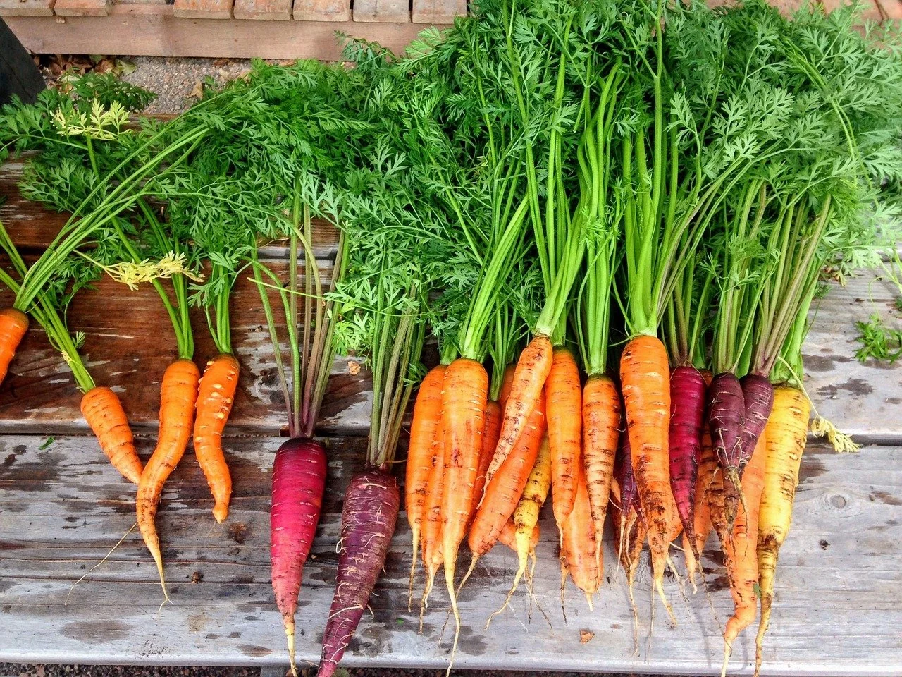 Going Organic: 4 Benefits For Children