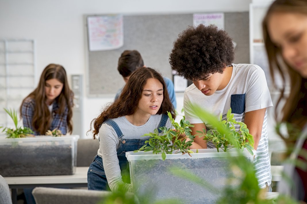 Majors in College for Making a Difference in the Community