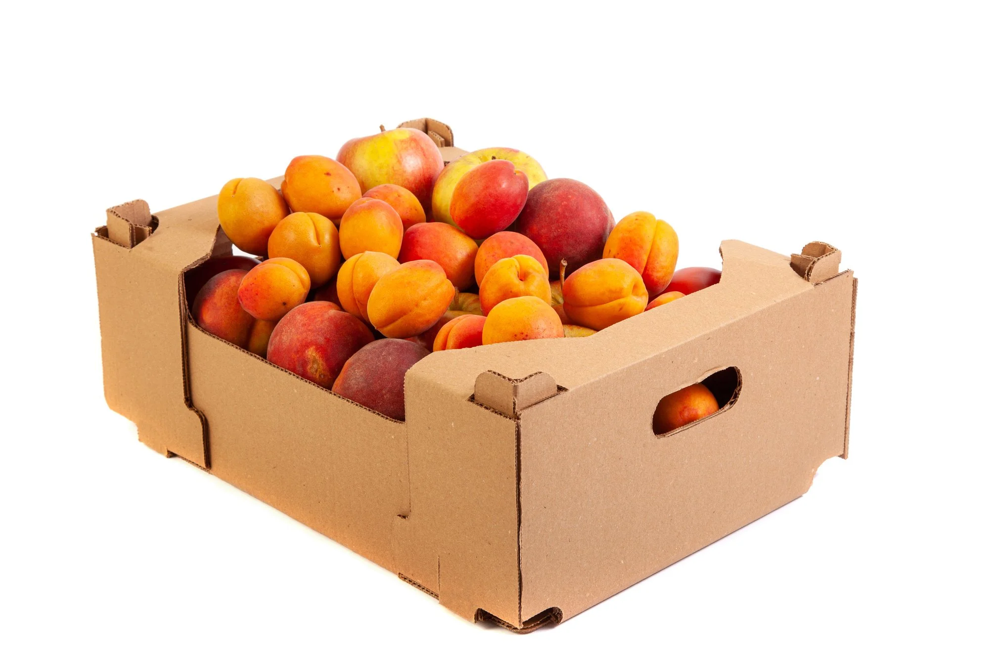 How to Choose the Right Corrugated Carton for Your Fruit Packaging Needs