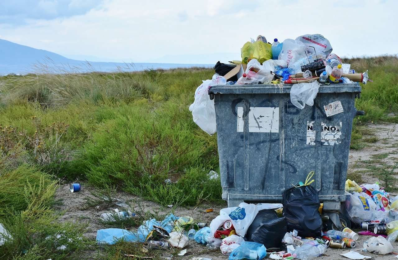 The Role of Big Corporations in Driving Consumerism and Greenhouse Gas Emissions