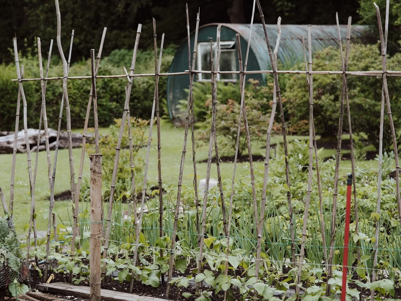 How Homesteaders Engaged in Organic Farming Can Manage Their Busy Lifestyles